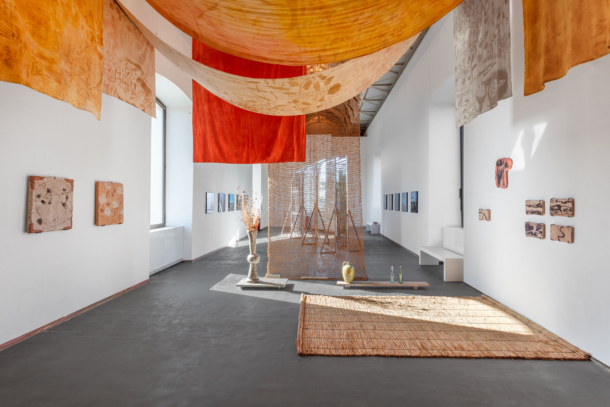 u0022Mutual Aid. Arte in collaborazione con la natura / Art in Collaboration with Natureu0022, installation view